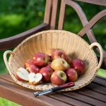 هسته گیر سیب/گلابی گالانت WestMark