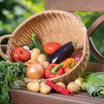 برش دهنده تزئینی Dekofix دسته قرمز WestMark